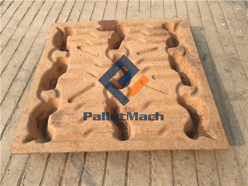 bagasse pallet