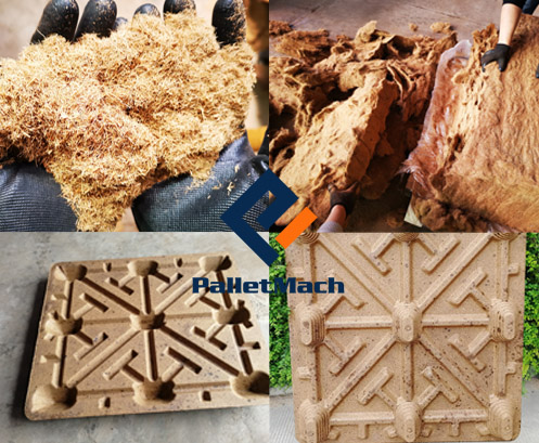 compressed coconut fiber pallet